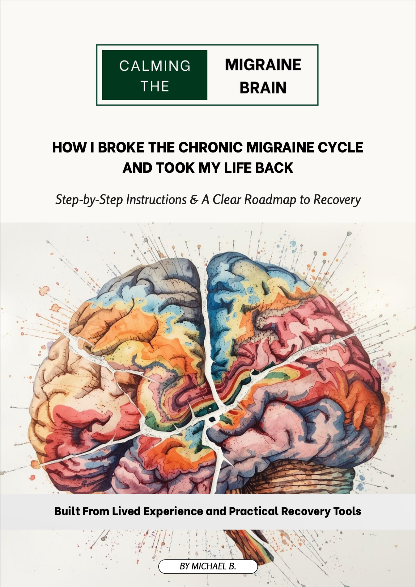 CALMING THE MIGRAINE BRAIN - HOW I BROKE THE CHRONIC MIGRAINE CYCLE AND TOOK MY LIFE BACK